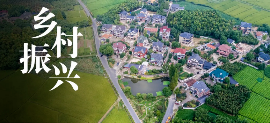 乡村振兴，泽华有声